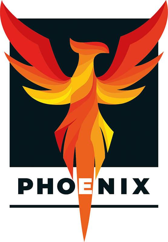 Phoenix Sustainable Investments