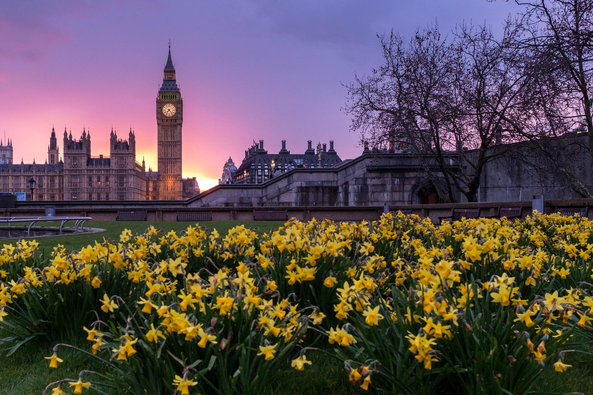 News > What Does the Environment Bill Mean for the Development Sector